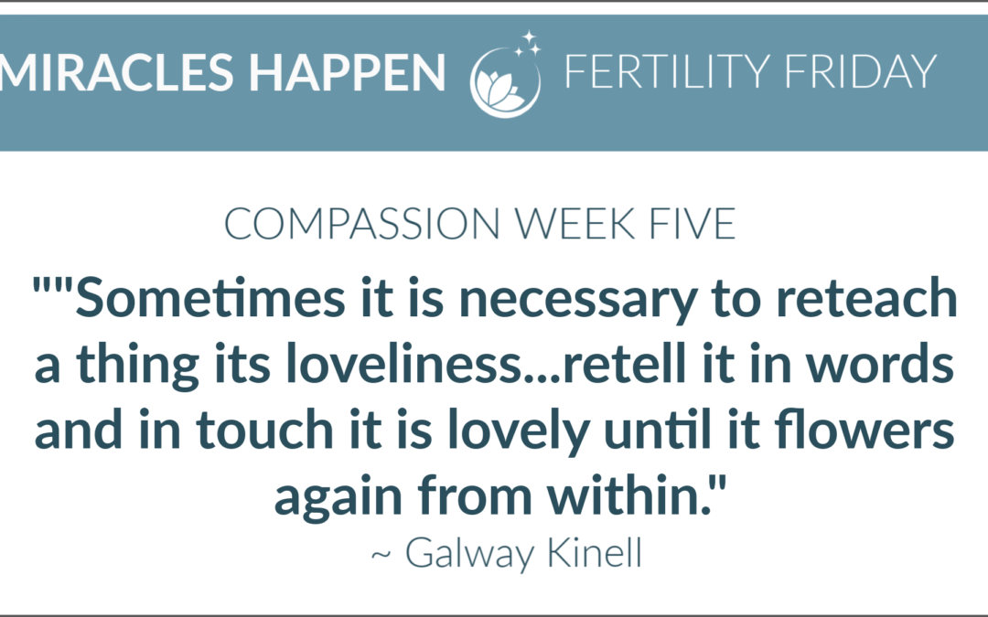 Compassion Week 5: Sometimes You Have to Re-teach People of Their Loveliness