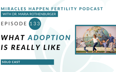 MHFP 133 – What Adoption is Really Like